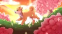 Shiba ♡ サーバー     Social & Anime banner