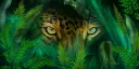 THE Ginge Gang banner