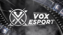 VOX ESport ★ Discord server banner