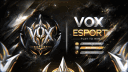VOX ESport ★ Discord server banner