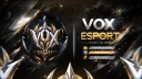 VOX ESport ★ Banner