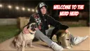 Nerd Herd banner