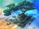 The Fur Tree  Banner