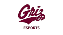 University of Montana banner
