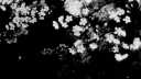 /๐ฌ๐๐๐๐๐๐๐๐ . ๐บ๐ญ๐พ Discord server banner