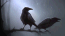 ζ͜͡Crow Bots banner