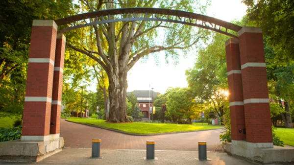 banner