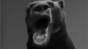 Shitpost Society Discord server banner
