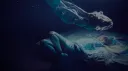Lucidity banner