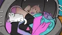 cat bongo banner