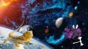 Purple Bee banner