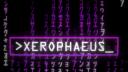 Xerophaeus Banner