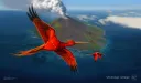 Birds of Paradise banner