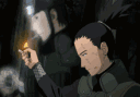 Safehouse banner