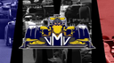 vMvGroup. | VilVinde Multigaming  🇫🇷 Banner