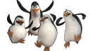 So Grr banner