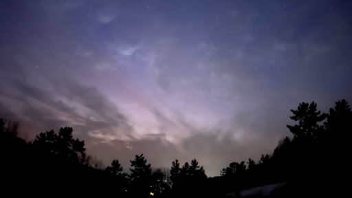 라엘리얼 옴니버스 Discord server banner