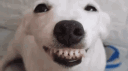 𝘽𝙍𝙐𝙃 𝙎𝙌𝙐𝘼𝘿  ᵛᵉʸⁿ banner