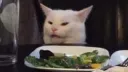 The Salad Ladds banner