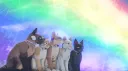 Warrior Cats: Ultimate Edition banner