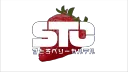 STC Community banner