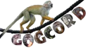 Gogcord Discord server banner