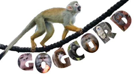 Gogcord banner