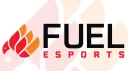 Fuel Esports Banner
