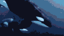Aquamarine's Fish Tank banner