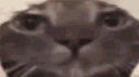 crispy's lair banner