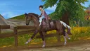 Star Stable Community banner