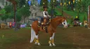 Star Stable Community banner