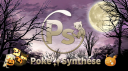 Poké✨Synthèse banner