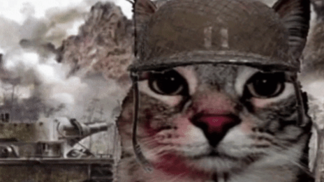 The 46th Battalion Discord server banner