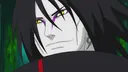 Ninja World online banner