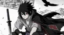 Ninja World online banner