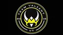 Team Valiant E-Sports banner