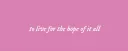 banner