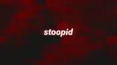 stoopid banner