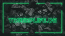 TrueRpLife.de |   Roleplay | Hosted by TropicSolutions! banner