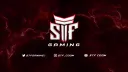 STF Gaming 🇮🇳 banner