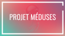 PROJET·MÉDUSES Discord server banner
