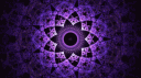 Sonder Syren Sanctuary banner