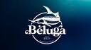 <Beluga> Banner