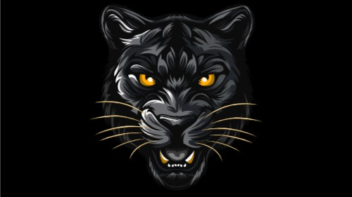 𝐵𝒶𝓃𝒹𝒾𝓉 𝒜𝓈𝓎𝓁𝓊𝓂 Discord server banner