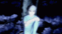 Texshanfor Ferdi banner