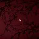 𝙍 𝙚 𝙫 𝙚 𝙣 𝙜 𝙚  . banner