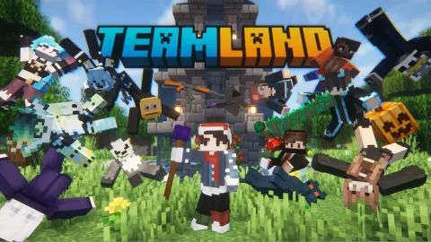 TeamLand Community banner