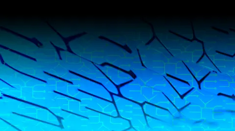 Starling Vibes banner