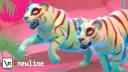 newline banner